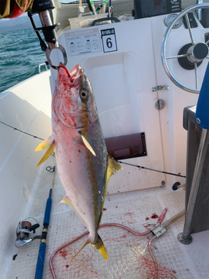 マイボートで荒波釣行