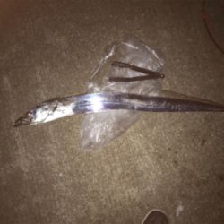 ドラゴンゲット