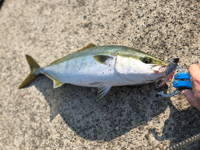 ベターコンディション