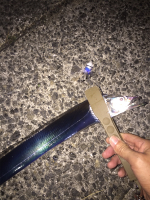 今夜はアカン！1匹だけ！