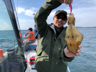 デイテップラン