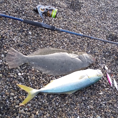 三重サーフで青物・ヒラメ