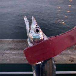 まさにユウレイ?