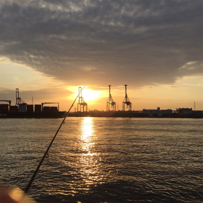 F4オーバー‼︎！イケア裏好調！