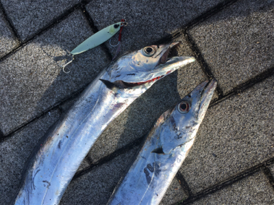 サーベリング＆オクトパッシング