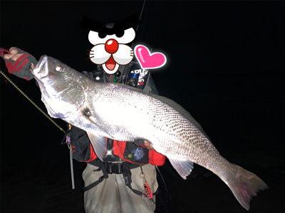 早めの早朝散歩！