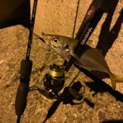 ブルーカレント68ll 入魂