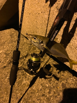 ブルーカレント68ll 入魂