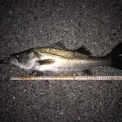 まだまだですね