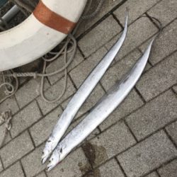 続・サーベリング