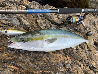 大荒れトップゲーム