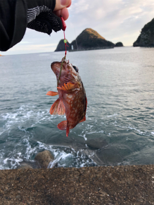 穴釣り、ショアジギ