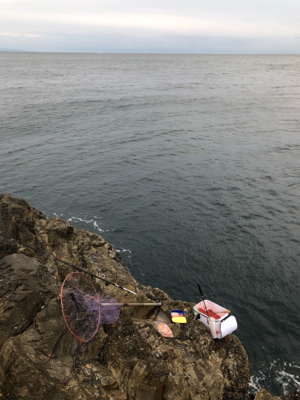 そろそろ寒グレ