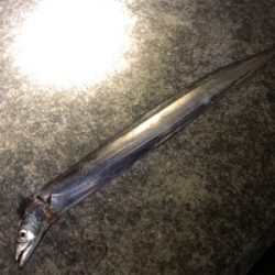 やっぱりホームエリア(^^)