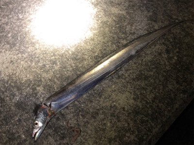 やっぱりホームエリア(^^)