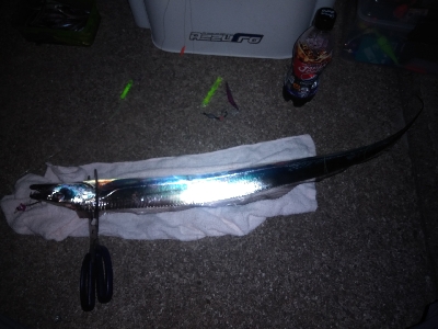 久し振りだけど渋い