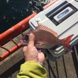 時合いはほんの1時間