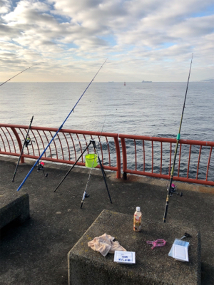 久々の投げ釣りでしたが❗️