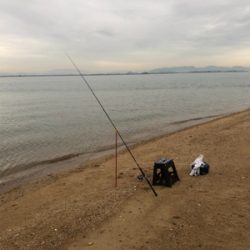 チョイ投げにてキス&ハゼ