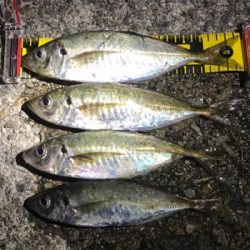 夕マヅメアジング