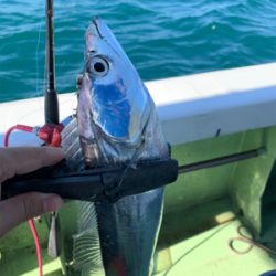 2年ぶりのオフショア