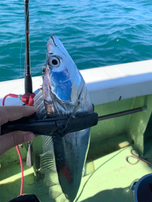 2年ぶりのオフショア