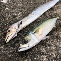 和田防まだいけるのか