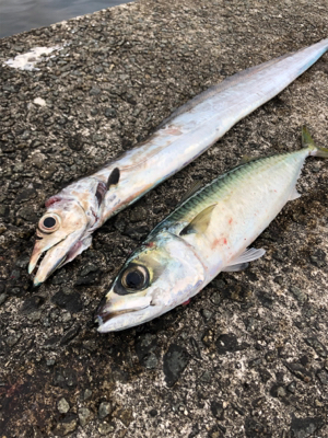 和田防まだいけるのか