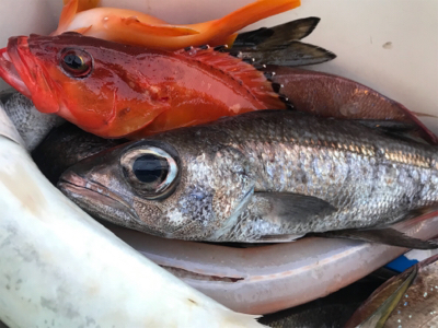 中深海と鯛ラバ