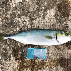 万が一があるならタモ は用意する