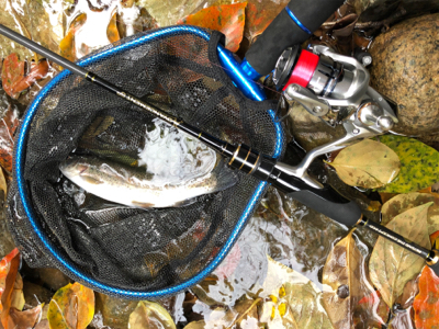 釣れるけど考えて試行錯誤