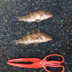 大雨からの快晴