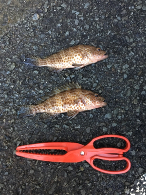大雨からの快晴