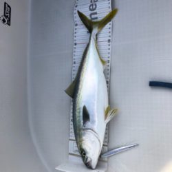 オフショア2回目