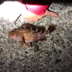 今シーズン終了間近?@8防