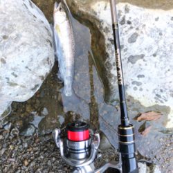 ネイティブトラウトを求めて