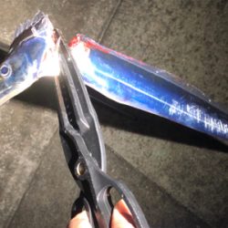 マズメチャレンジ