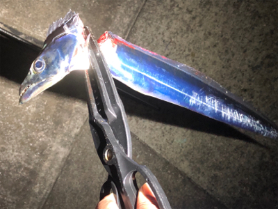 マズメチャレンジ