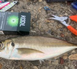 ガッんとアタリが欲しくて❗️