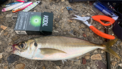 ガッんとアタリが欲しくて❗️