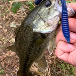 淀川バスフィッシング