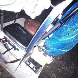 初めての沖堤防で太刀魚青物を求めて