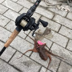 続・オクトパッシング