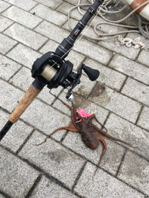 続・オクトパッシング