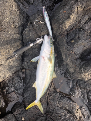 ヒラマサを求めて遠征