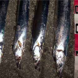 ジグタチ三昧(^^)