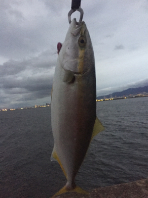 タチウオでかめ