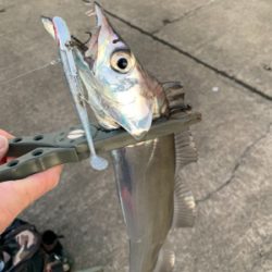 朝まづめ出勤前の朝練