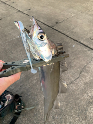 朝まづめ出勤前の朝練