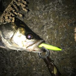 喉の奥までガッツリ